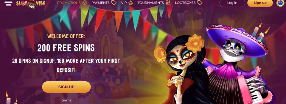 Slotvibe Homepage BetKiwi New Zealand
